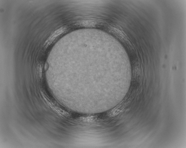 X0000059840120200511111755