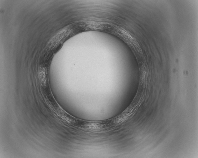 X0000059840121200511111754