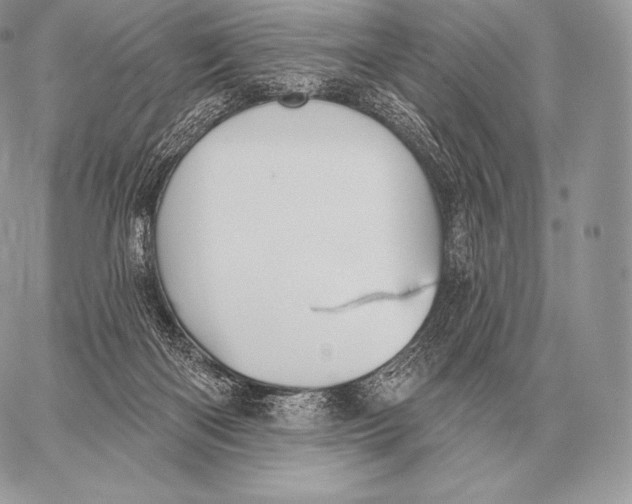 X0000059840122200511111754