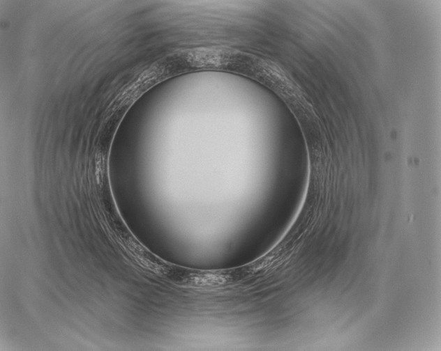 X0000059840125200511111754