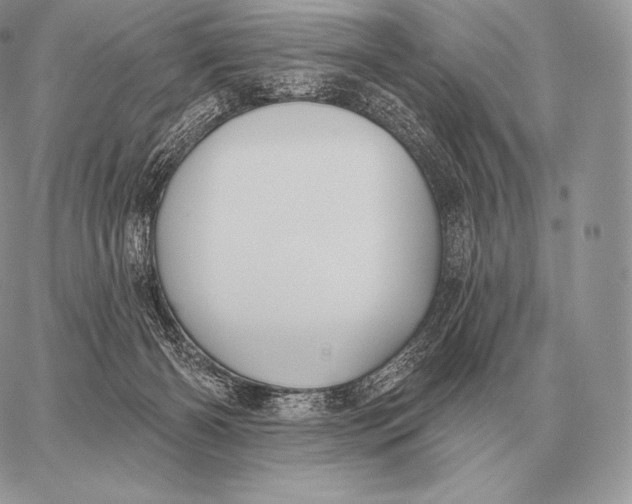 X0000059840126200511111754