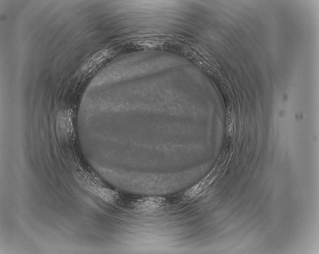 X0000059840128200511111754