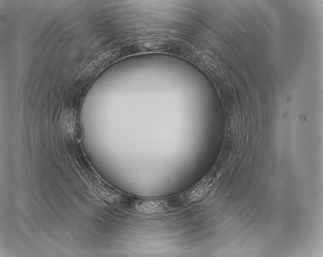 X0000059840129200511111754