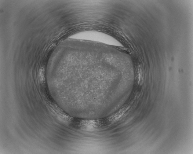 X0000059840131200511111754