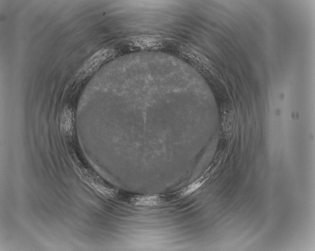 X0000059840132200511111754