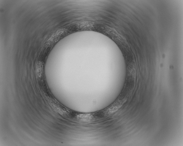 X0000059840133200511111754