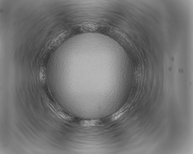 X0000059840134200511111754