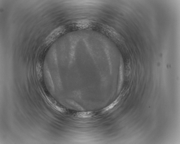 X0000059840136200511111754