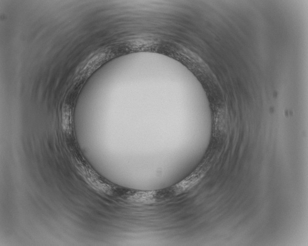 X0000059840138200511111754