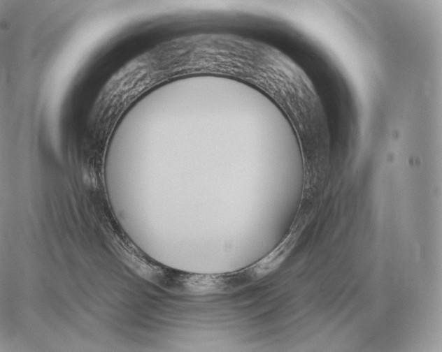 X0000059840142200511111754