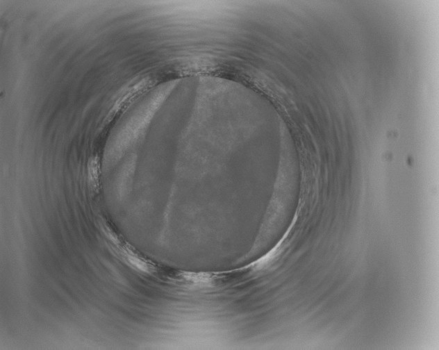 X0000059840144200511111754