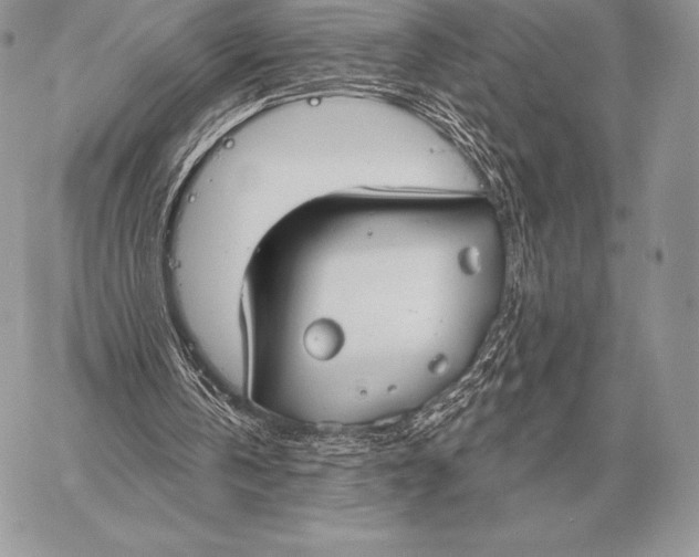 X0000059840146200511111753