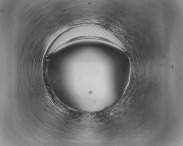 X0000059840148200511111753