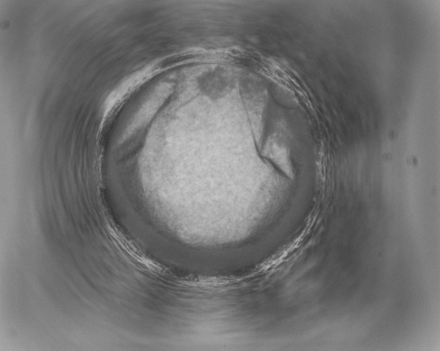 X0000059840149200511111753