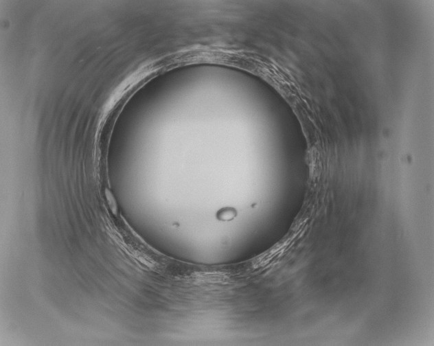 X0000059840150200511111753