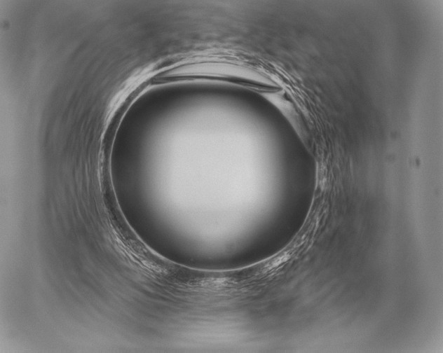 X0000059840152200511111753