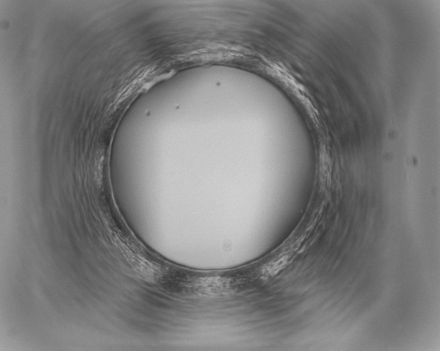 X0000059840153200511111753