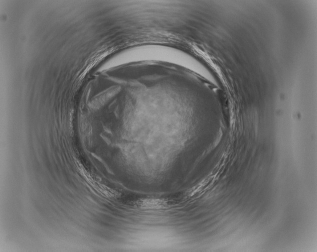 X0000059840154200511111753