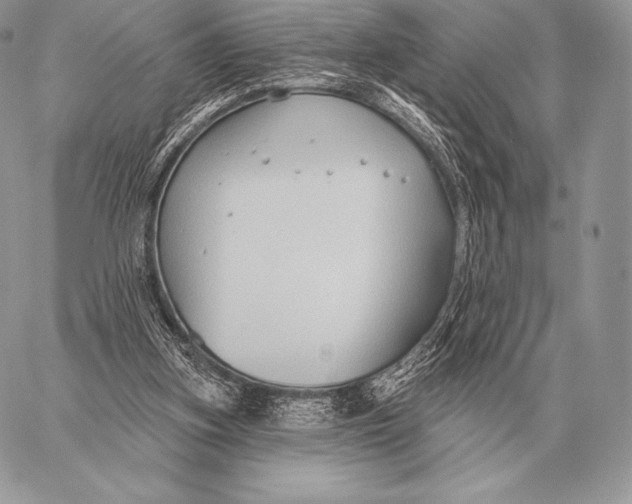 X0000059840155200511111753