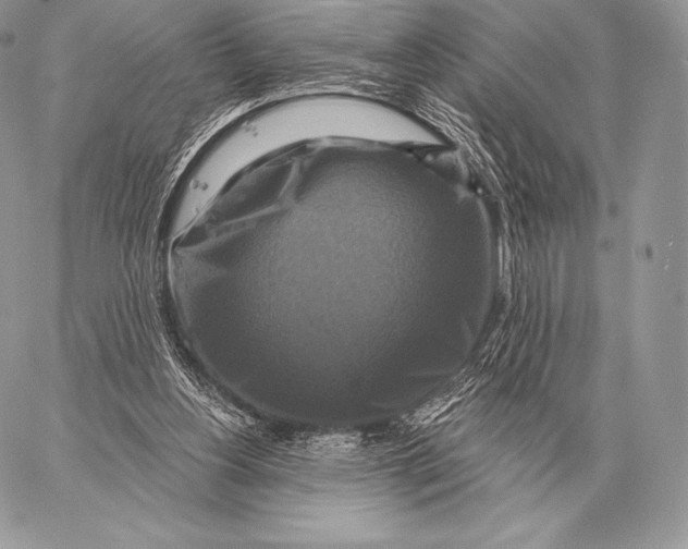 X0000059840156200511111754