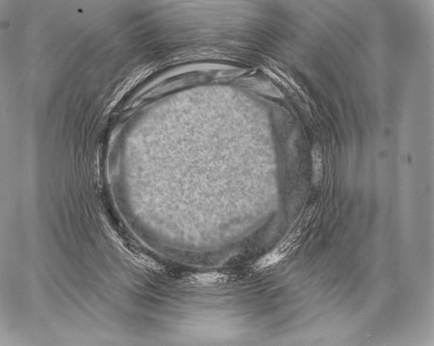 X0000059840158200511111754