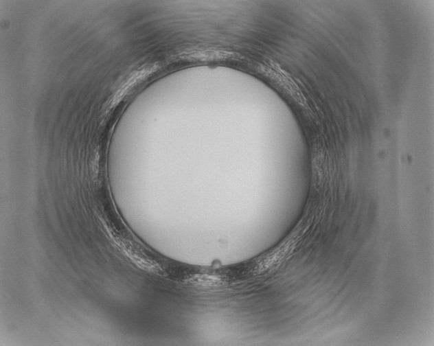 X0000059840159200511111754