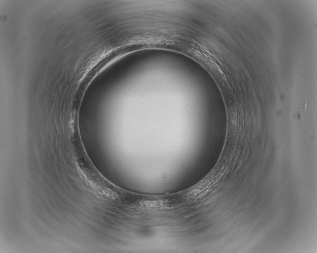 X0000059840160200511111754