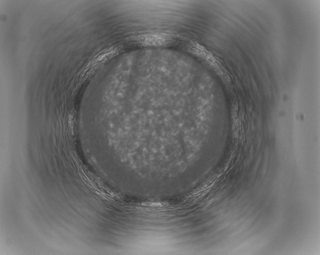 X0000059840161200511111754