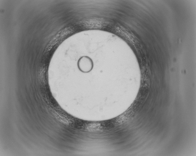 X0000059840162200511111754