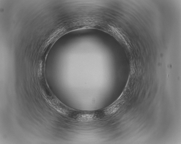 X0000059840163200511111754