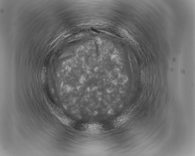 X0000059840165200511111754