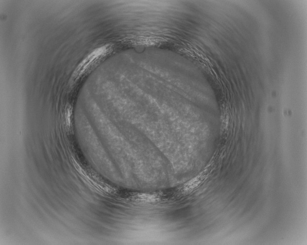 X0000059840166200511111754