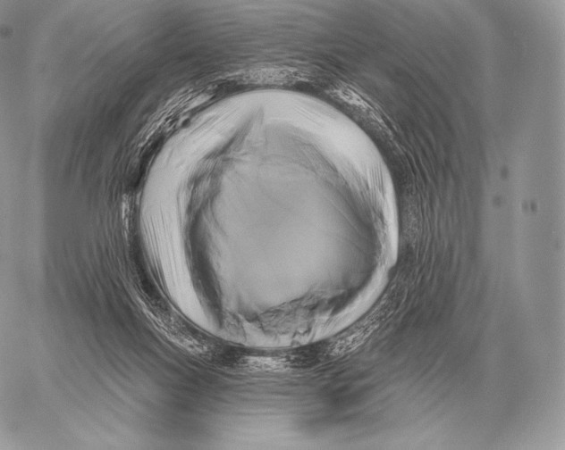 X0000059840167200511111754