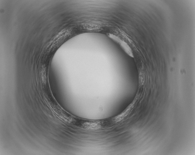 X0000059840170200511111754