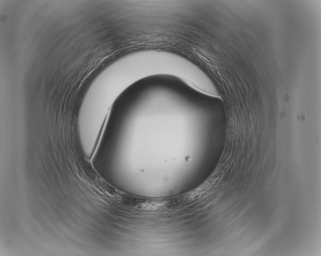 X0000059840172200511111754