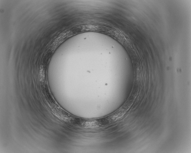 X0000059840173200511111754