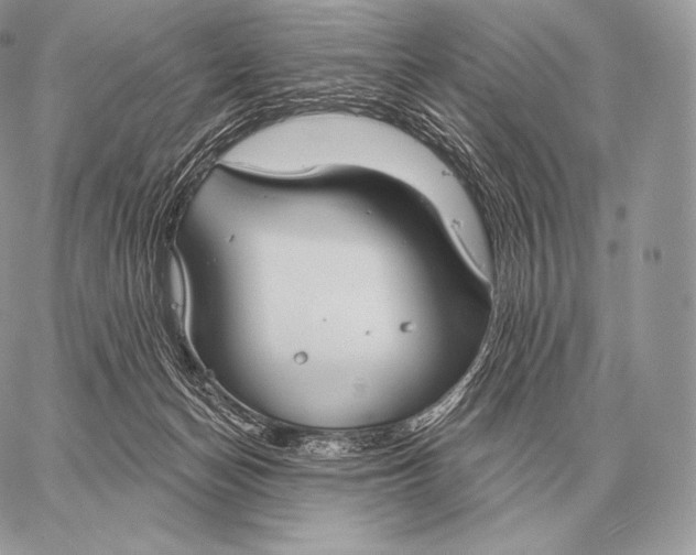 X0000059840174200511111754