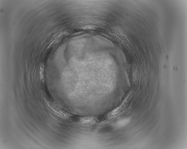 X0000059840175200511111754