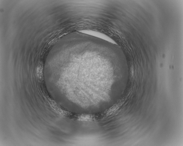 X0000059840177200511111754