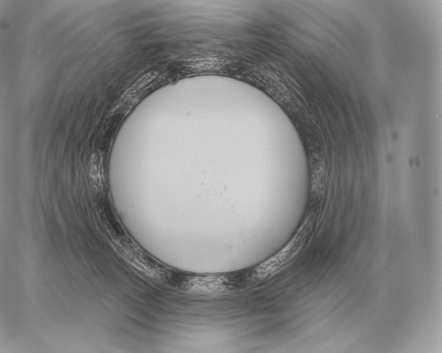 X0000059840179200511111754