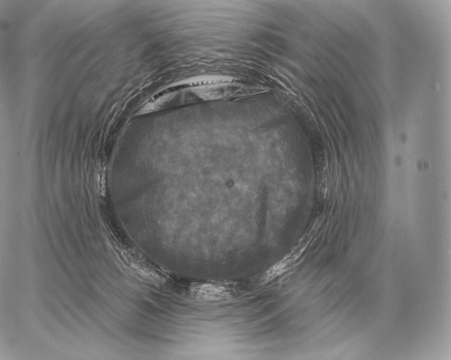 X0000059840180200511111754