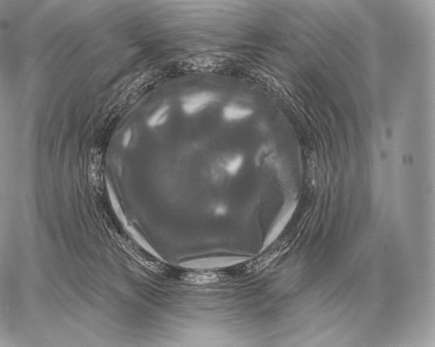 X0000059840181200511111754