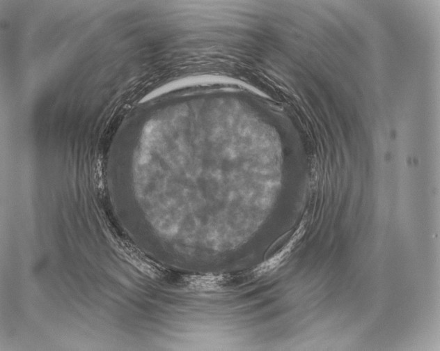 X0000059840182200511111754