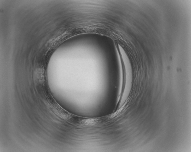 X0000059840184200511111754