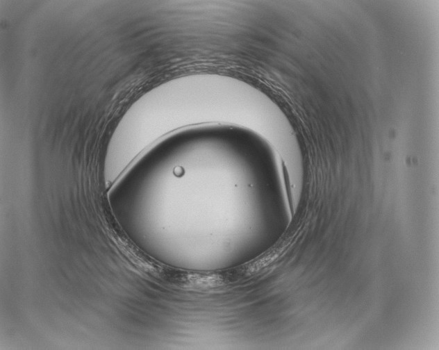 X0000059840185200511111754