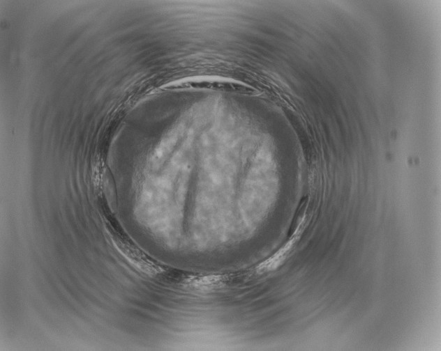 X0000059840186200511111754