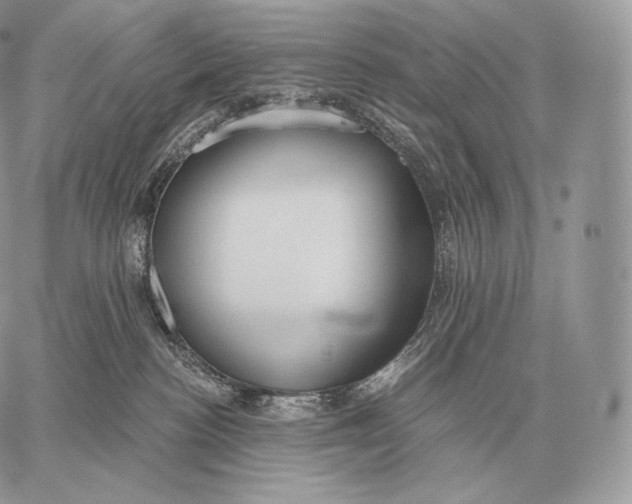 X0000059840188200511111754