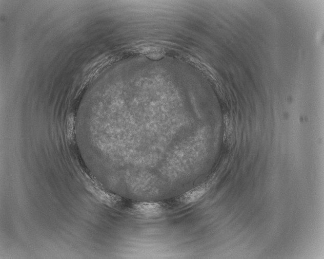 X0000059840189200511111754