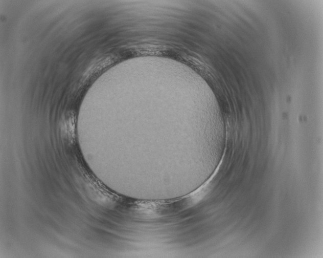 X0000059840190200511111754