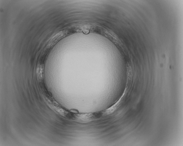 X0000059840191200511111754